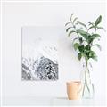 Picture of Snowy Treetops _GroupedProduct_Rectangle_Portrait_Photography _GroupedProduct_Rectangle_Portrait_Unframed_Print_Only_