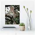 Picture of Lurking Cheetah _GroupedProduct_Rectangle_Portrait_Unframed_Print_Only_