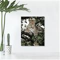 Picture of Lurking Cheetah _GroupedProduct_Rectangle_Portrait_Unframed_Print_Only_