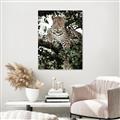 Picture of Lurking Cheetah _GroupedProduct_Rectangle_Portrait_Unframed_Print_Only_