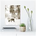 Picture of Moose in the snow _GroupedProduct_Rectangle_Portrait_Photography _GroupedProduct_Rectangle_Portrait_Unframed_Print_Only_