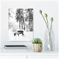 Picture of Moose in the snow _GroupedProduct_Rectangle_Portrait_Photography _GroupedProduct_Rectangle_Portrait_Unframed_Print_Only_