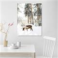 Picture of Moose in the snow _GroupedProduct_Rectangle_Portrait_Photography _GroupedProduct_Rectangle_Portrait_Unframed_Print_Only_