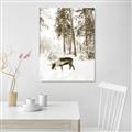Picture of Moose in the snow _GroupedProduct_Rectangle_Portrait_Photography _GroupedProduct_Rectangle_Portrait_Unframed_Print_Only_