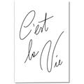 Picture of C'est La Vie II _GroupedProduct_Rectangle_Portrait_Canvas_