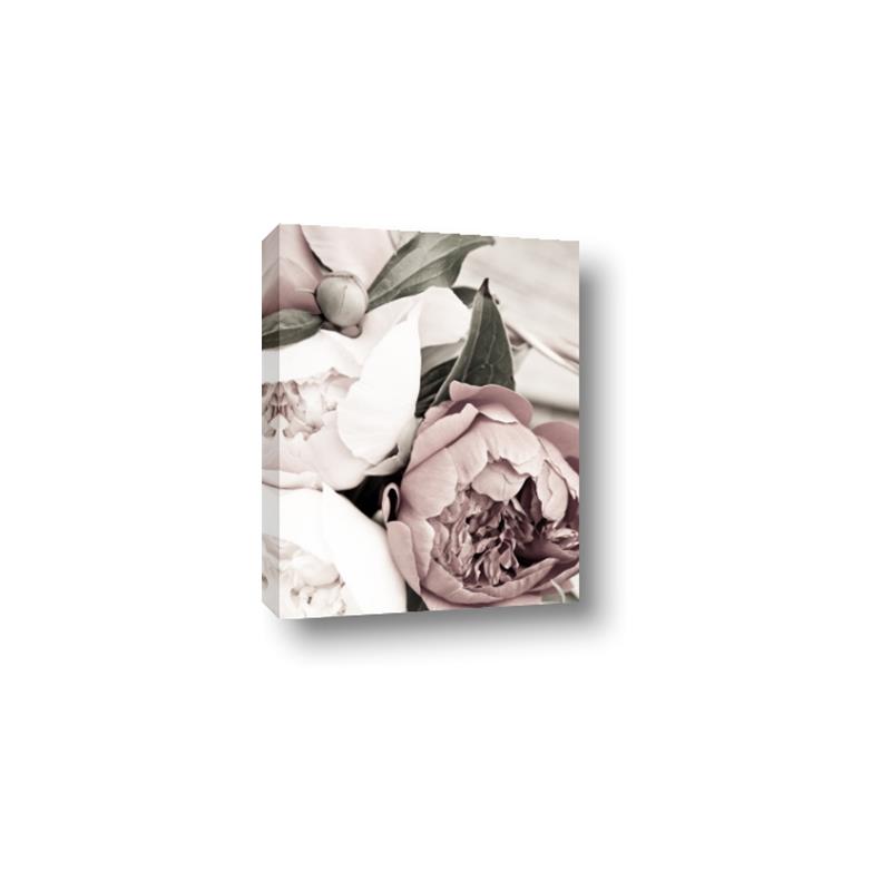 Picture of Pink Bloom _GroupedProduct_Rectangle_Portrait_Photography _GroupedProduct_Rectangle_Portrait_Canvas_
