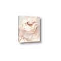 Picture of Peony Flowers _GroupedProduct_Rectangle_Portrait_Photography _GroupedProduct_Rectangle_Portrait_Canvas_