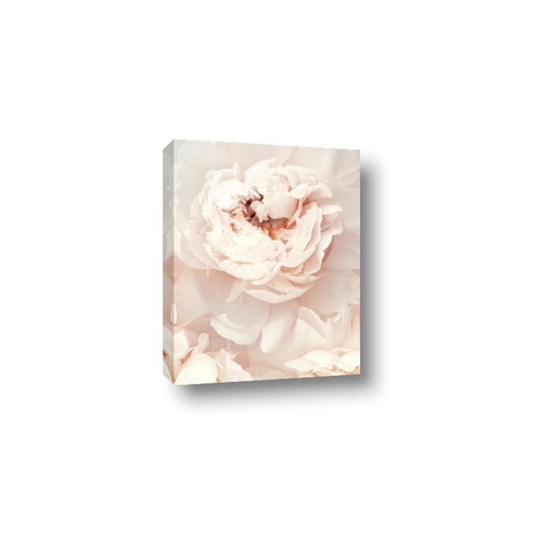 Picture of Peony Flowers _GroupedProduct_Rectangle_Portrait_Photography _GroupedProduct_Rectangle_Portrait_Canvas_