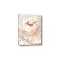 Picture of Peony Flowers _GroupedProduct_Rectangle_Portrait_Photography _GroupedProduct_Rectangle_Portrait_Canvas_