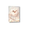Picture of Peony Flowers _GroupedProduct_Rectangle_Portrait_Photography _GroupedProduct_Rectangle_Portrait_Canvas_