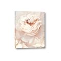 Picture of Peony Flowers _GroupedProduct_Rectangle_Portrait_Photography _GroupedProduct_Rectangle_Portrait_Canvas_