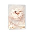 Picture of Peony Flowers _GroupedProduct_Rectangle_Portrait_Photography _GroupedProduct_Rectangle_Portrait_Canvas_