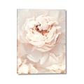 Picture of Peony Flowers _GroupedProduct_Rectangle_Portrait_Photography _GroupedProduct_Rectangle_Portrait_Canvas_