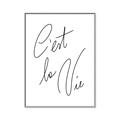 Picture of C'est La Vie II _GroupedProduct_Rectangle_Portrait_Canvas_Framed_
