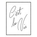 Picture of C'est La Vie II _GroupedProduct_Rectangle_Portrait_Canvas_Framed_