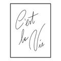 Picture of C'est La Vie II _GroupedProduct_Rectangle_Portrait_Canvas_Framed_