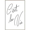 Picture of C'est La Vie II _GroupedProduct_Rectangle_Portrait_Canvas_Framed_