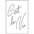 Picture of C'est La Vie II _GroupedProduct_Rectangle_Portrait_Canvas_Framed_
