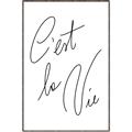 Picture of C'est La Vie II _GroupedProduct_Rectangle_Portrait_Canvas_Framed_