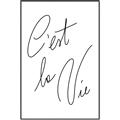 Picture of C'est La Vie II _GroupedProduct_Rectangle_Portrait_Canvas_Framed_