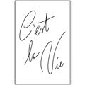 Picture of C'est La Vie II _GroupedProduct_Rectangle_Portrait_Canvas_Framed_