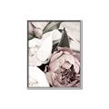 Picture of Pink Bloom _GroupedProduct_Rectangle_Portrait_Photography _GroupedProduct_Rectangle_Portrait_Canvas_Framed_
