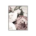 Picture of Pink Bloom _GroupedProduct_Rectangle_Portrait_Photography _GroupedProduct_Rectangle_Portrait_Canvas_Framed_