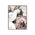 Picture of Pink Bloom _GroupedProduct_Rectangle_Portrait_Photography _GroupedProduct_Rectangle_Portrait_Canvas_Framed_