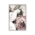 Picture of Pink Bloom _GroupedProduct_Rectangle_Portrait_Photography _GroupedProduct_Rectangle_Portrait_Canvas_Framed_