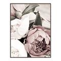 Picture of Pink Bloom _GroupedProduct_Rectangle_Portrait_Photography _GroupedProduct_Rectangle_Portrait_Canvas_Framed_
