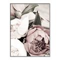 Picture of Pink Bloom _GroupedProduct_Rectangle_Portrait_Photography _GroupedProduct_Rectangle_Portrait_Canvas_Framed_