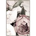 Picture of Pink Bloom _GroupedProduct_Rectangle_Portrait_Photography _GroupedProduct_Rectangle_Portrait_Canvas_Framed_