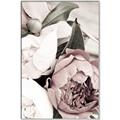 Picture of Pink Bloom _GroupedProduct_Rectangle_Portrait_Photography _GroupedProduct_Rectangle_Portrait_Canvas_Framed_