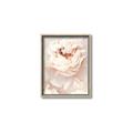 Picture of Peony Flowers _GroupedProduct_Rectangle_Portrait_Photography _GroupedProduct_Rectangle_Portrait_Canvas_Framed_