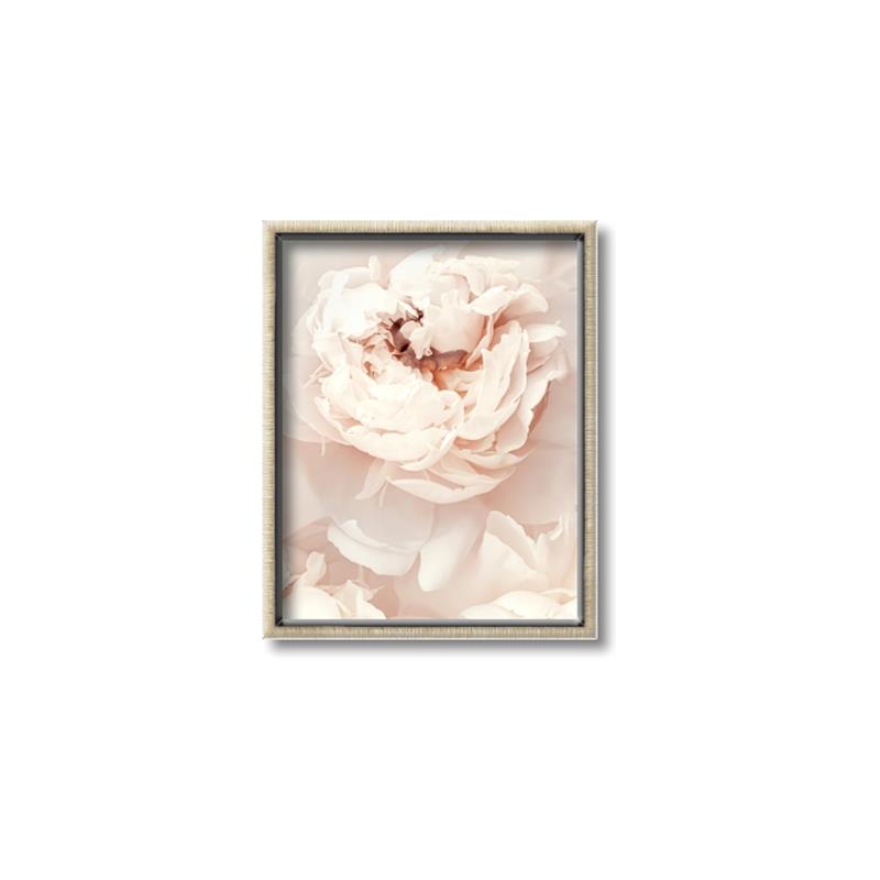 Picture of Peony Flowers _GroupedProduct_Rectangle_Portrait_Photography _GroupedProduct_Rectangle_Portrait_Canvas_Framed_