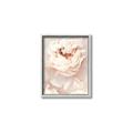 Picture of Peony Flowers _GroupedProduct_Rectangle_Portrait_Photography _GroupedProduct_Rectangle_Portrait_Canvas_Framed_