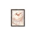 Picture of Peony Flowers _GroupedProduct_Rectangle_Portrait_Photography _GroupedProduct_Rectangle_Portrait_Canvas_Framed_