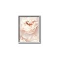 Picture of Peony Flowers _GroupedProduct_Rectangle_Portrait_Photography _GroupedProduct_Rectangle_Portrait_Canvas_Framed_