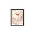 Picture of Peony Flowers _GroupedProduct_Rectangle_Portrait_Photography _GroupedProduct_Rectangle_Portrait_Canvas_Framed_