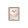 Picture of Peony Flowers _GroupedProduct_Rectangle_Portrait_Photography _GroupedProduct_Rectangle_Portrait_Canvas_Framed_