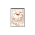 Picture of Peony Flowers _GroupedProduct_Rectangle_Portrait_Photography _GroupedProduct_Rectangle_Portrait_Canvas_Framed_