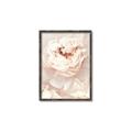 Picture of Peony Flowers _GroupedProduct_Rectangle_Portrait_Photography _GroupedProduct_Rectangle_Portrait_Canvas_Framed_