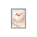 Picture of Peony Flowers _GroupedProduct_Rectangle_Portrait_Photography _GroupedProduct_Rectangle_Portrait_Canvas_Framed_