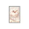 Picture of Peony Flowers _GroupedProduct_Rectangle_Portrait_Photography _GroupedProduct_Rectangle_Portrait_Canvas_Framed_