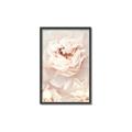 Picture of Peony Flowers _GroupedProduct_Rectangle_Portrait_Photography _GroupedProduct_Rectangle_Portrait_Canvas_Framed_