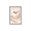 Picture of Peony Flowers _GroupedProduct_Rectangle_Portrait_Photography _GroupedProduct_Rectangle_Portrait_Canvas_Framed_