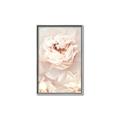 Picture of Peony Flowers _GroupedProduct_Rectangle_Portrait_Photography _GroupedProduct_Rectangle_Portrait_Canvas_Framed_