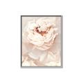 Picture of Peony Flowers _GroupedProduct_Rectangle_Portrait_Photography _GroupedProduct_Rectangle_Portrait_Canvas_Framed_