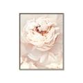 Picture of Peony Flowers _GroupedProduct_Rectangle_Portrait_Photography _GroupedProduct_Rectangle_Portrait_Canvas_Framed_