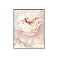 Picture of Peony Flowers _GroupedProduct_Rectangle_Portrait_Photography _GroupedProduct_Rectangle_Portrait_Canvas_Framed_